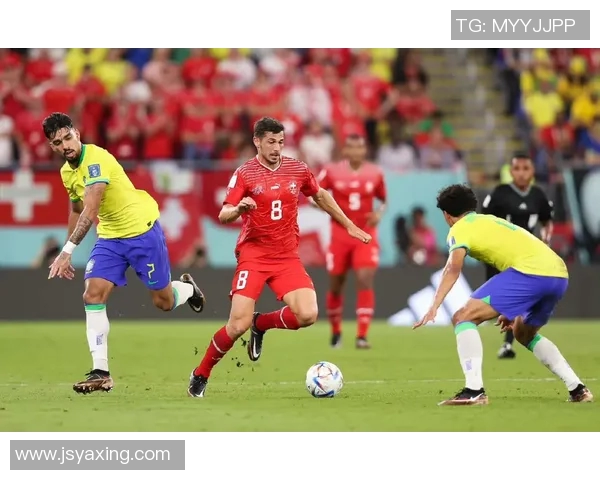 巴西对瑞士比赛分析及最新欧赔走势解读