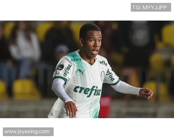 探索埃斯特旺的魅力与历史深入了解这座城市的文化与风俗