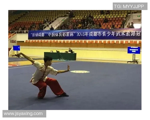 成都网球队团队协作分析与其他城市球队的对比研究