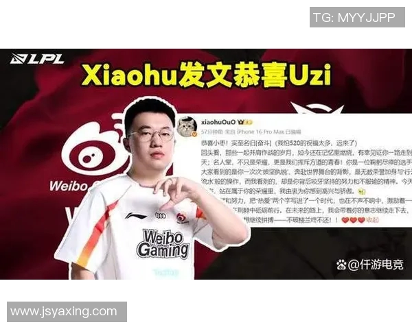 聚焦英雄联盟RNG团队协作与战术配合的深度解析与探讨