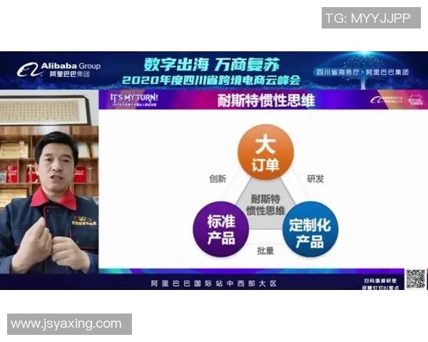 独家解析LNG灵活性优势与挑战的全面对比分析